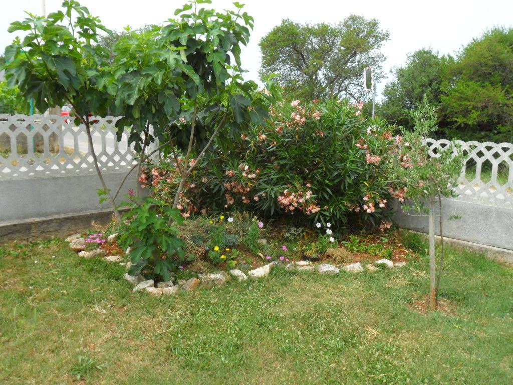 PUY Apartments Hrga מראה חיצוני תמונה