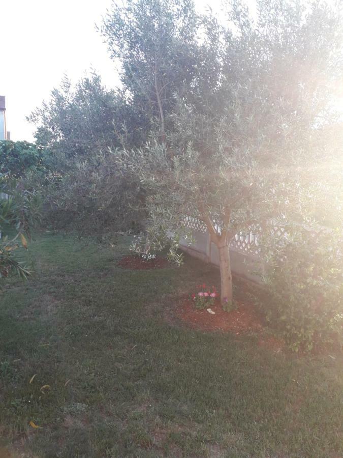 PUY Apartments Hrga מראה חיצוני תמונה
